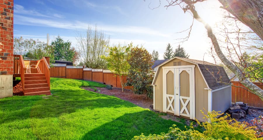 Fenced backyard with storage shed in Austin